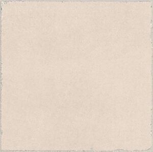 Valencia Coral 20x20
