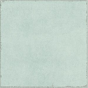 Valencia Salvia 20x20