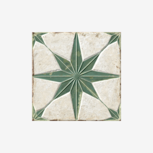 FS Starlight Sage LT 22,3x22,3