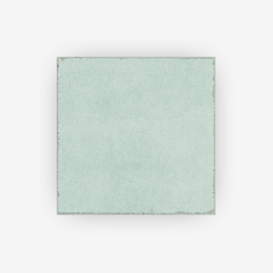 Valencia Salvia 20x20