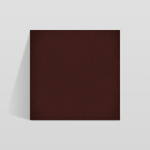 1900 Chocolate 20x20