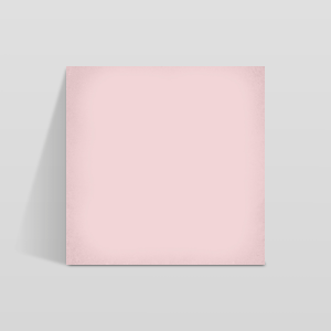 1900 Rosa 20x20