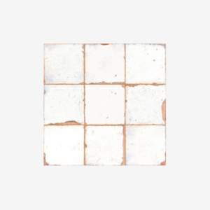 FS Campania Salerno LT 33x33