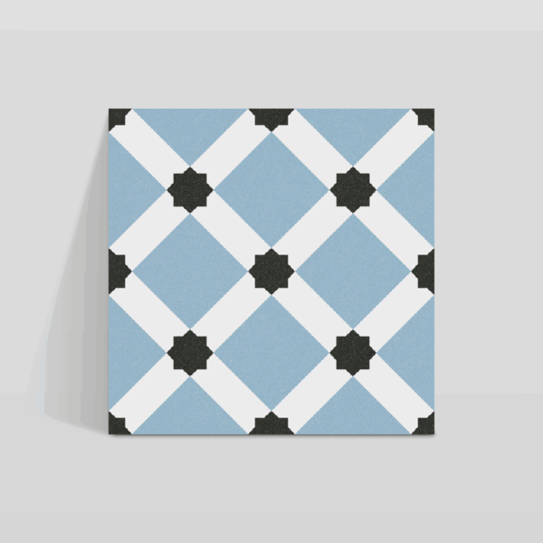 1900 Palau Celeste 20x20