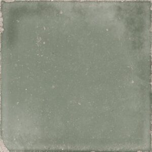 Atlantique Olive 20x20