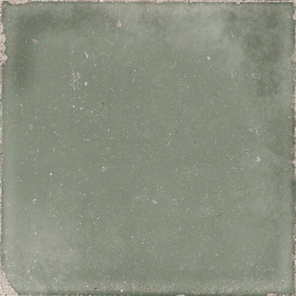 Atlantique Olive 20x20 - Imagen 2
