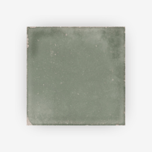 Atlantique Olive 20x20